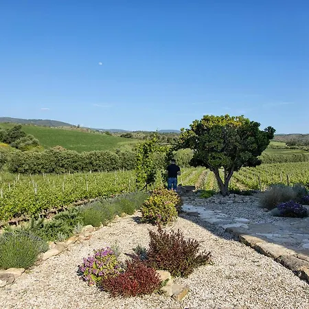 Nuovi Poderi *