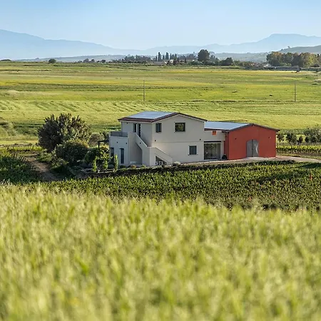 Nuovi Poderi Senorbi
