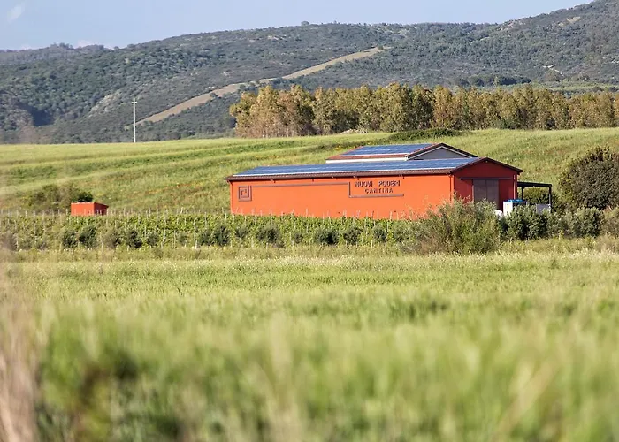 Lantgård Nuovi Poderi Senorbi
