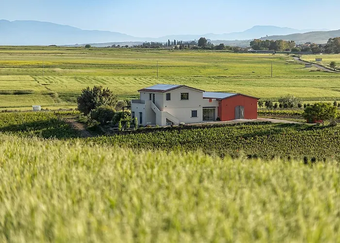 Nuovi Poderi Senorbi